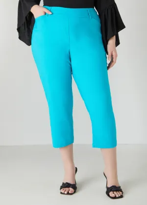 25 In Inseam Millennium Cropped Pants