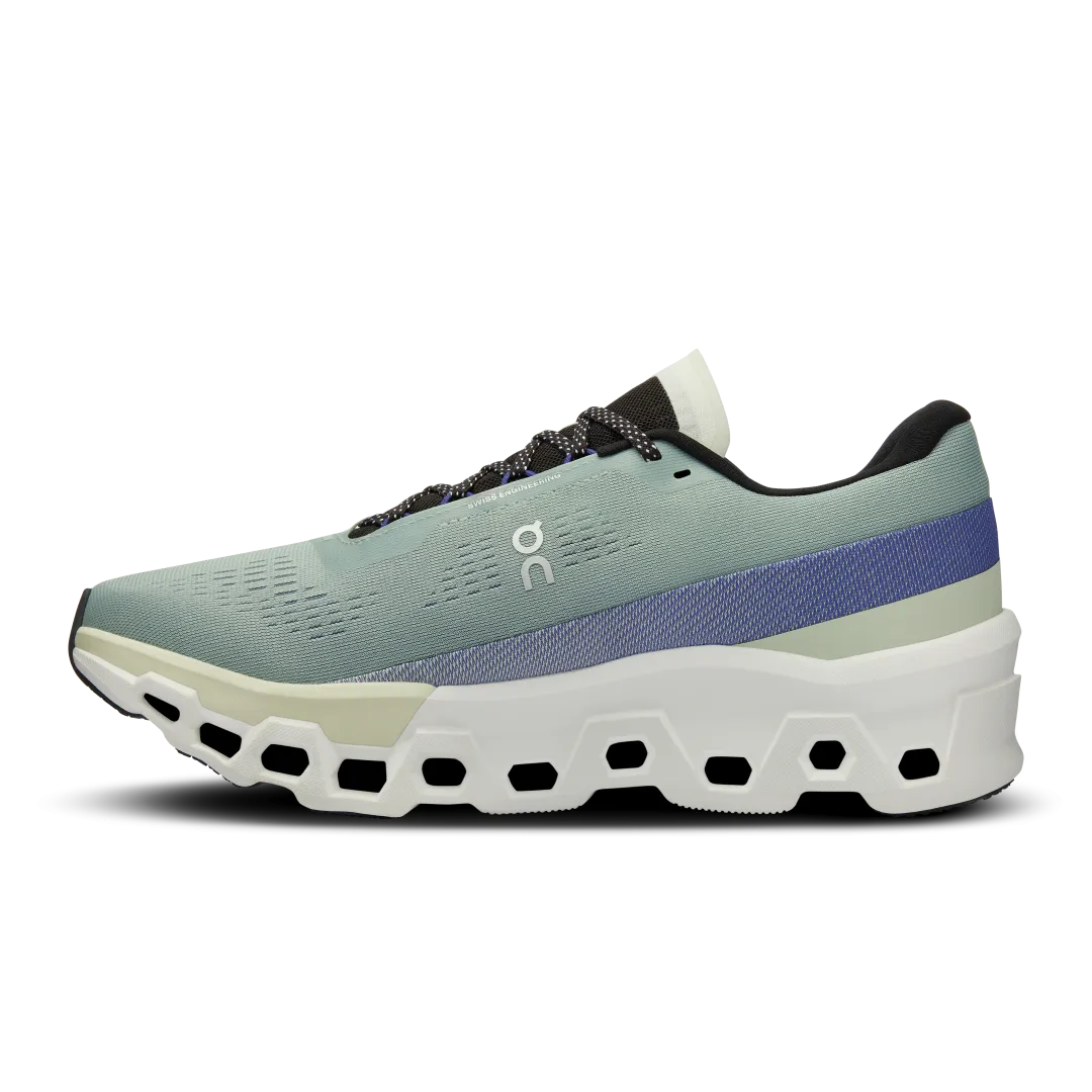 Cloudmonster 2 (Women's) - Past Season