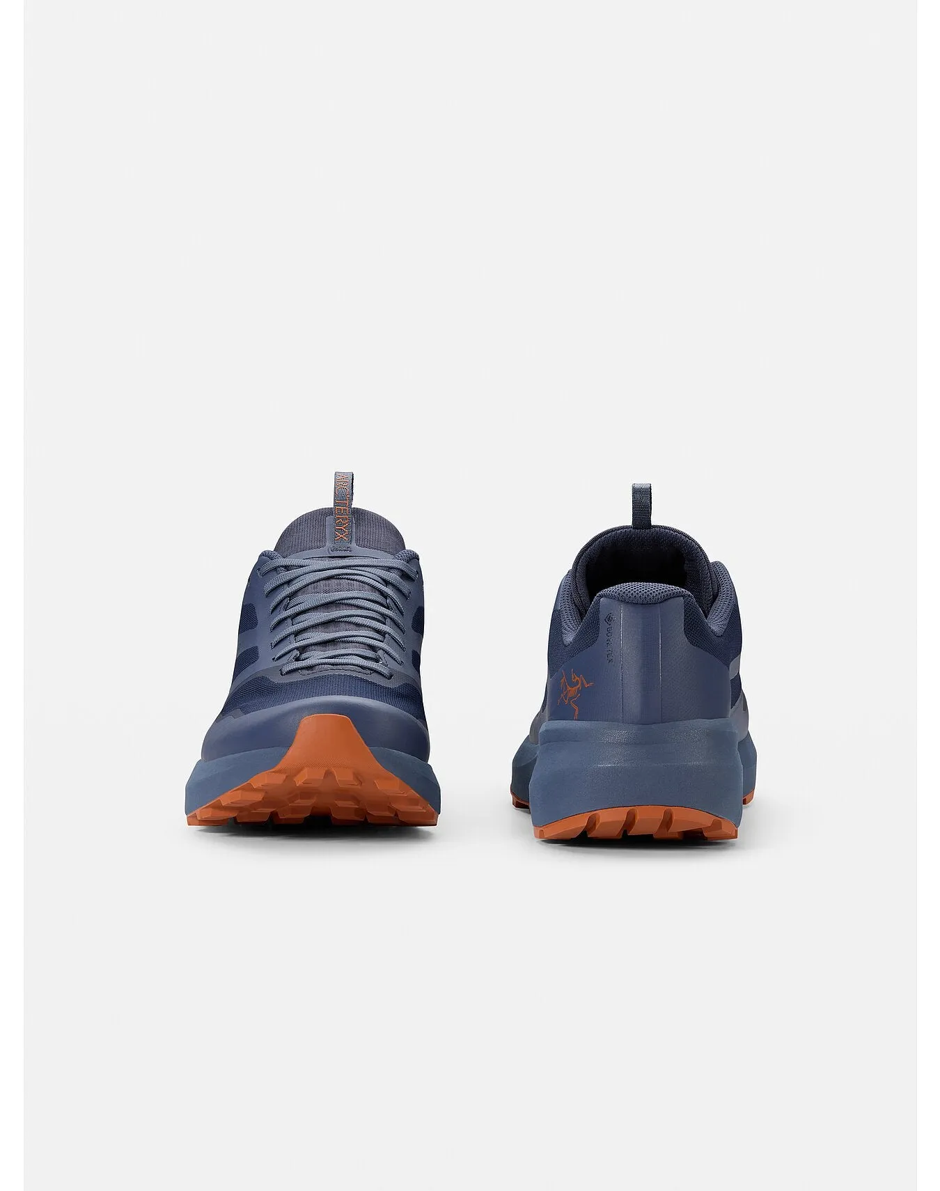 Norvan LD 3 GTX Shoe (Unisex) - X000006998 - Past Season