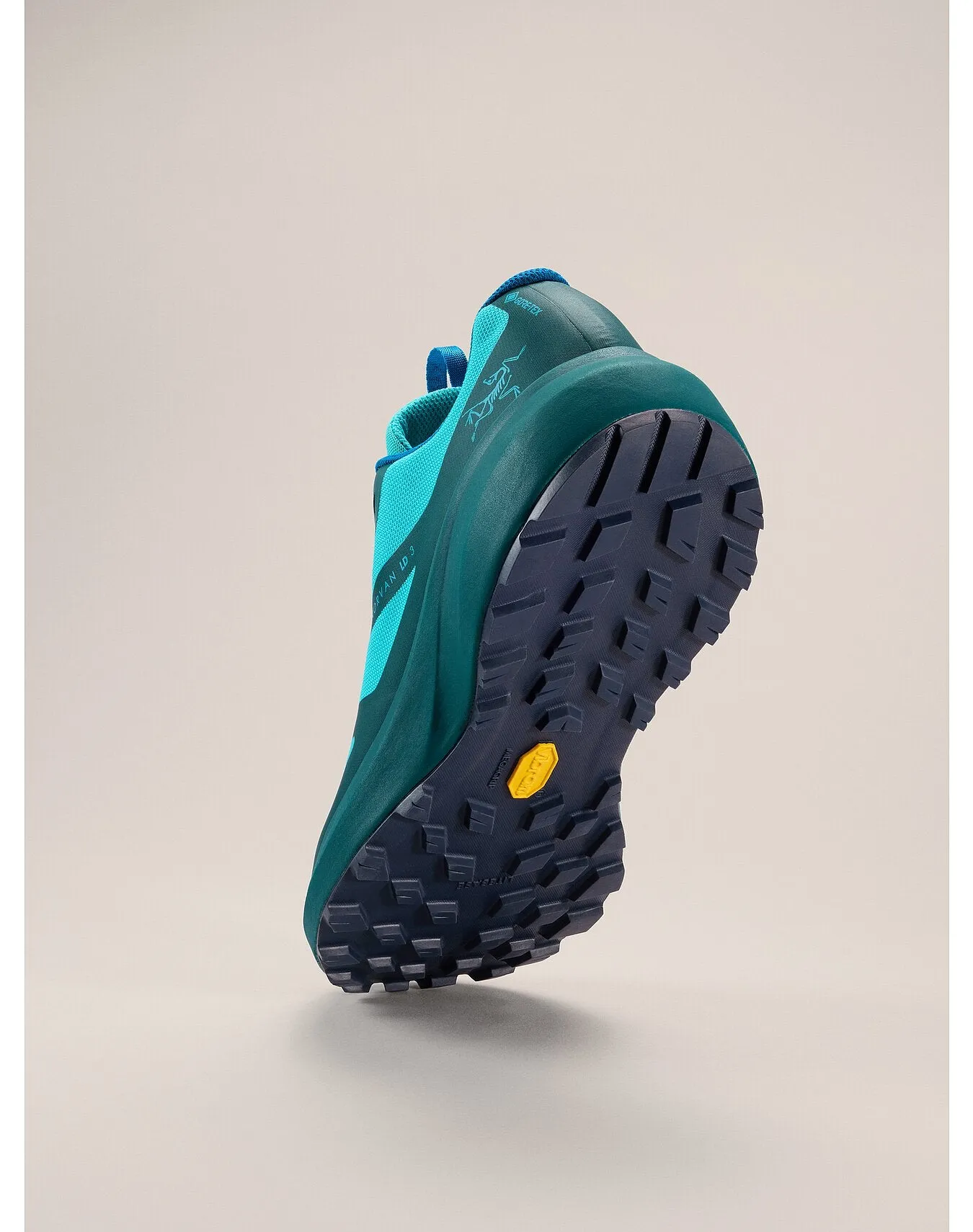 Norvan LD 3 GTX Shoe (Unisex) - X000006998 - Past Season