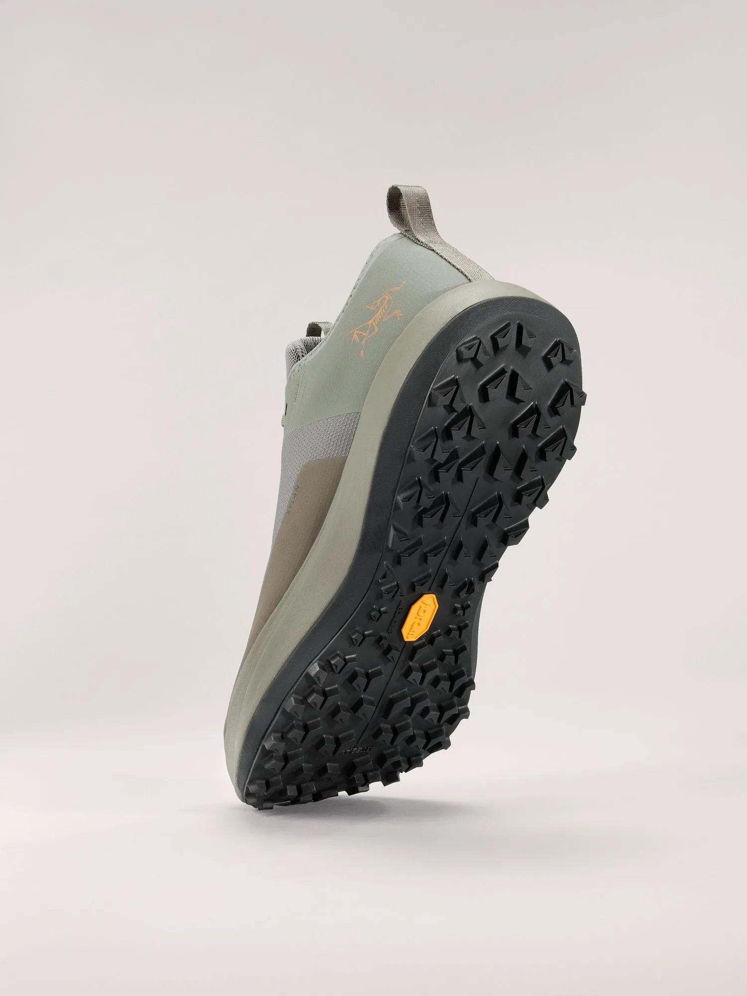 Sylan GTX Shoe (Men's) - X000009601