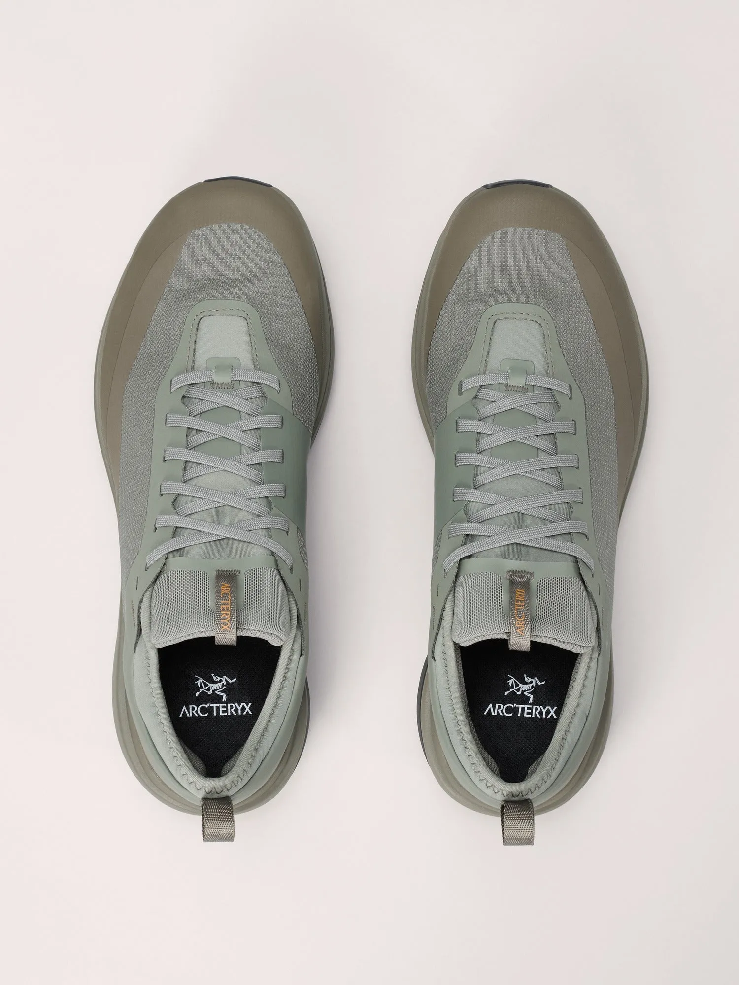 Sylan GTX Shoe (Men's) - X000009601