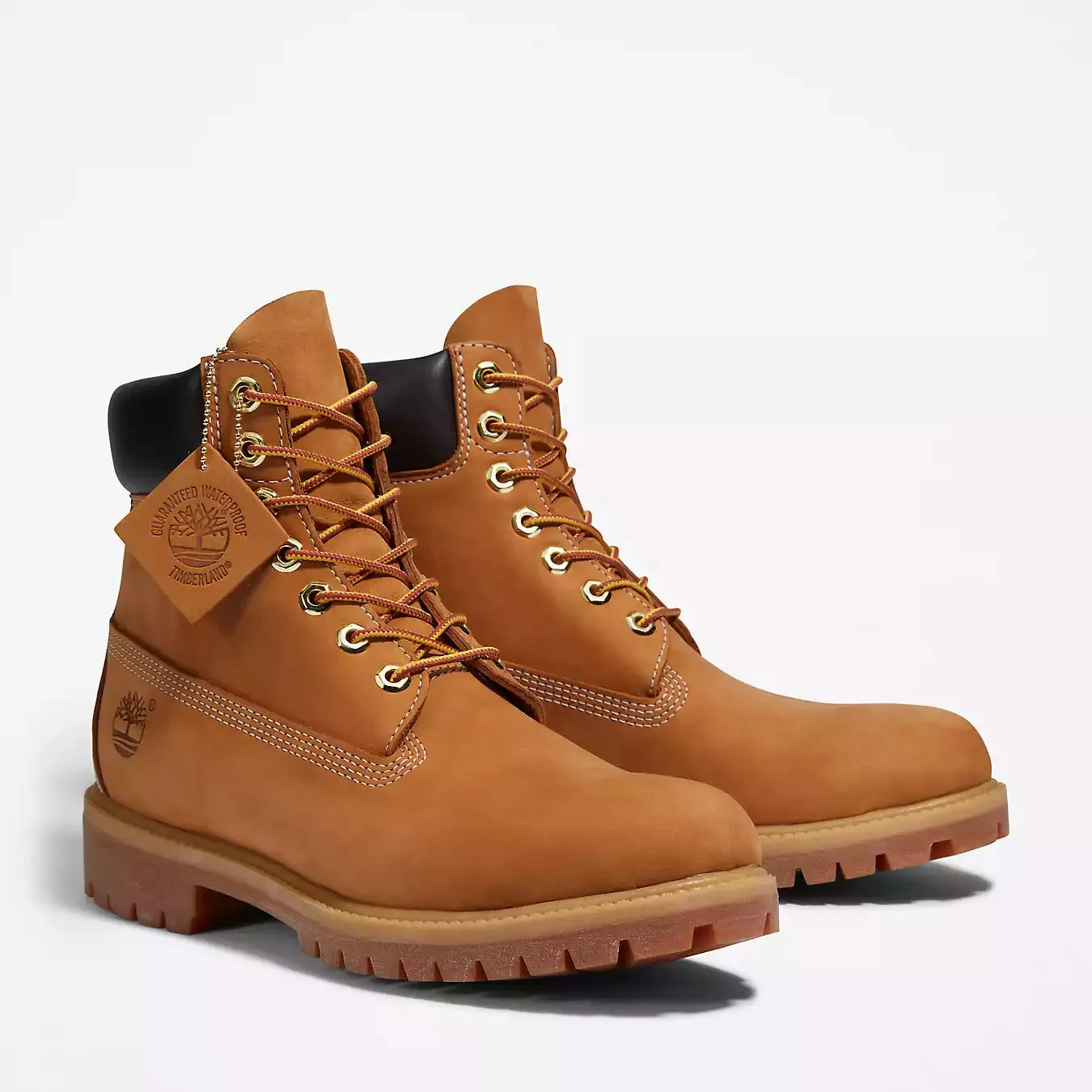 TIMBERLAND TREE Men's Premium 6 in Lace Waterproof TB110061713