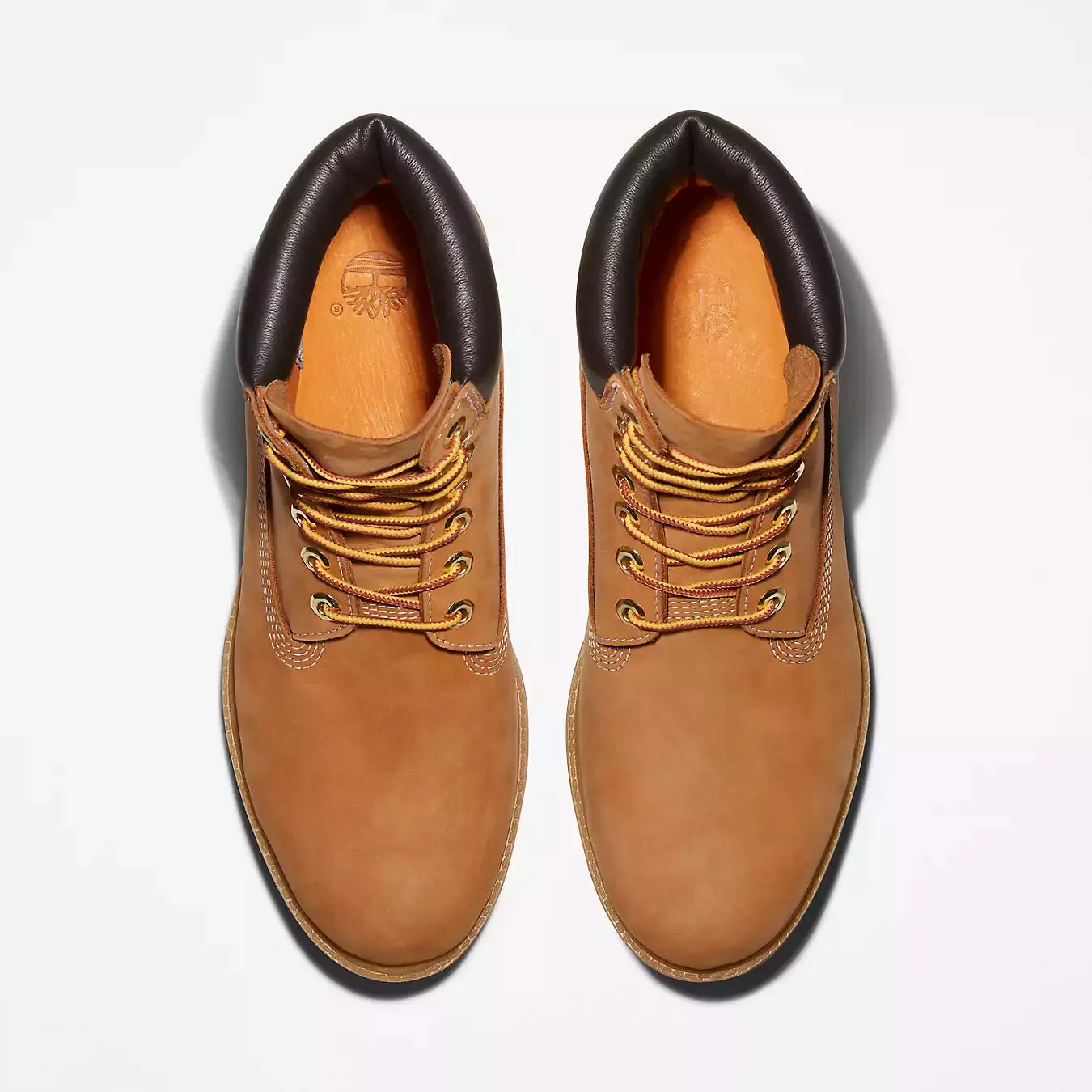 TIMBERLAND TREE Men's Premium 6 in Lace Waterproof TB110061713