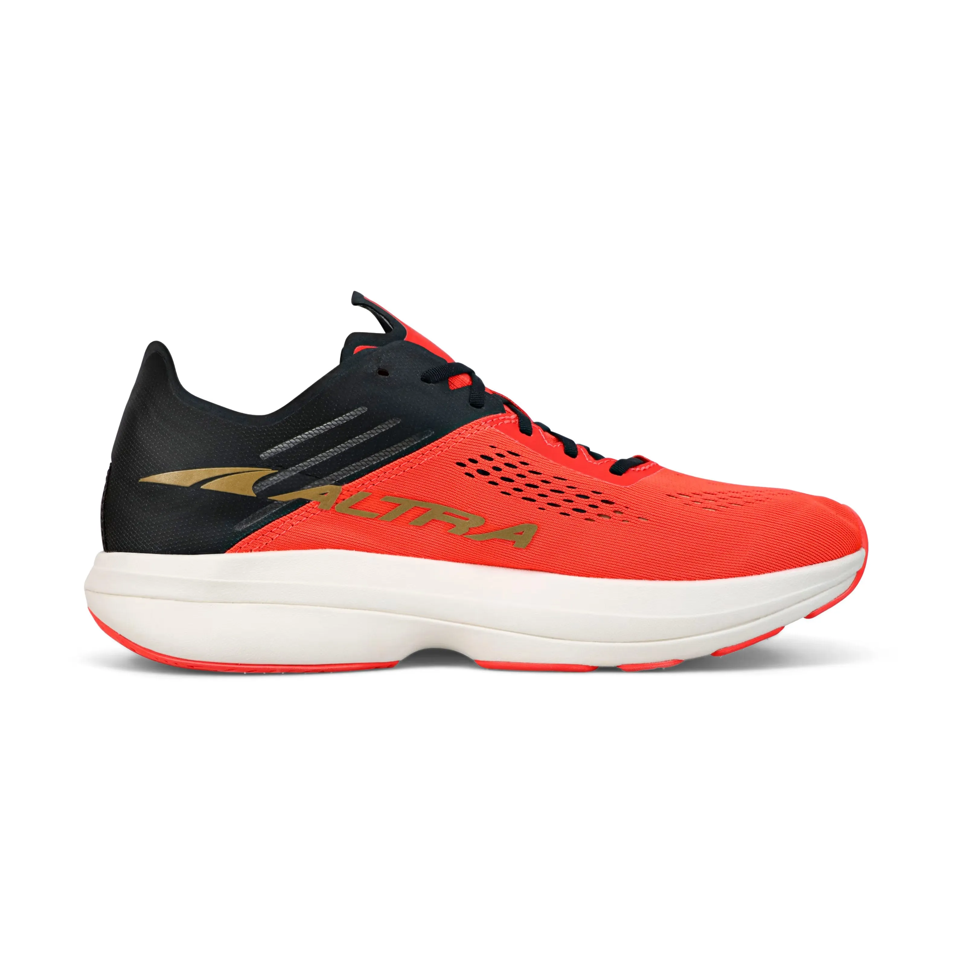 Vanish Carbon (Men's) - AL0A547M - Past Season